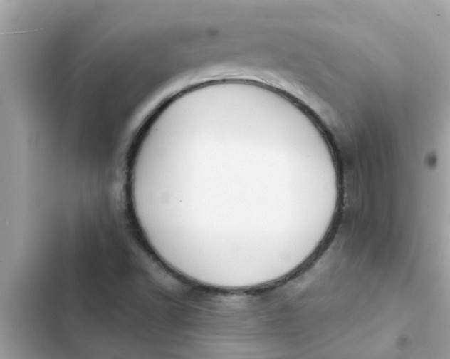 X0000102411502200808151953