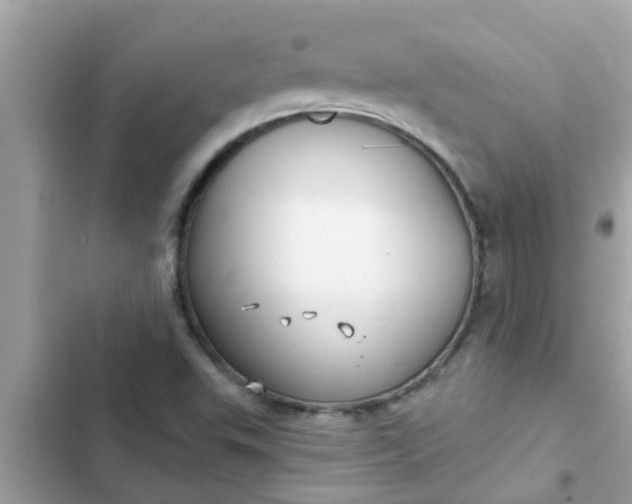 X0000102411503200808151953