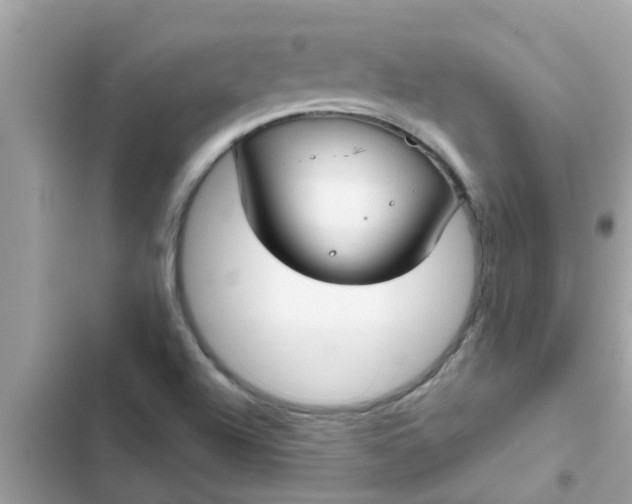 X0000102411504200808151953