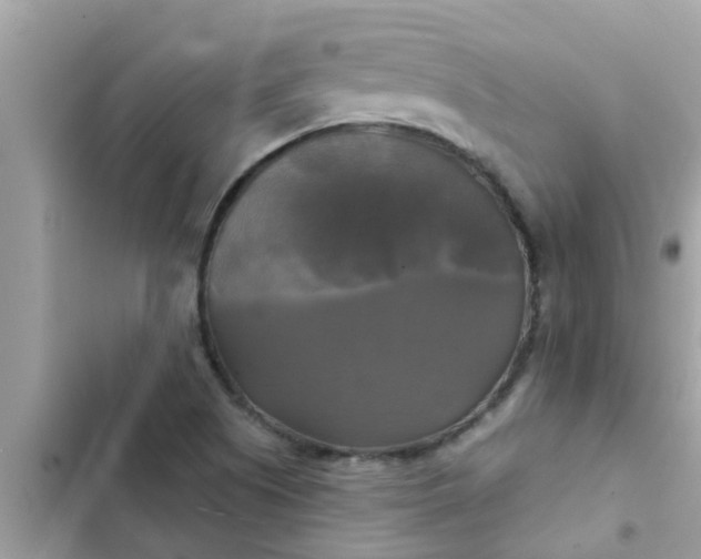 X0000102411505200808151953