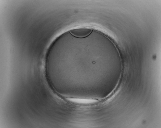 X0000102411506200808151954