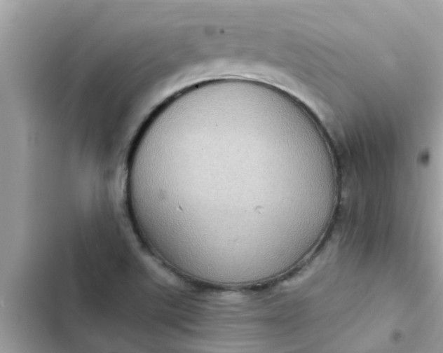 X0000102411507200808151954