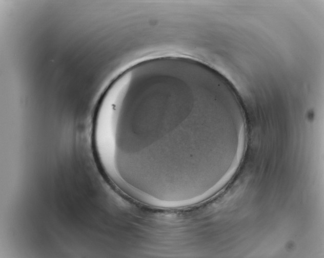 X0000102411508200808151954