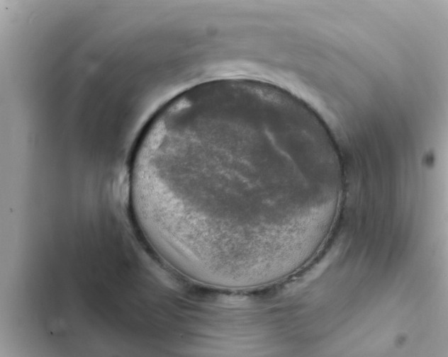 X0000102411509200808151954