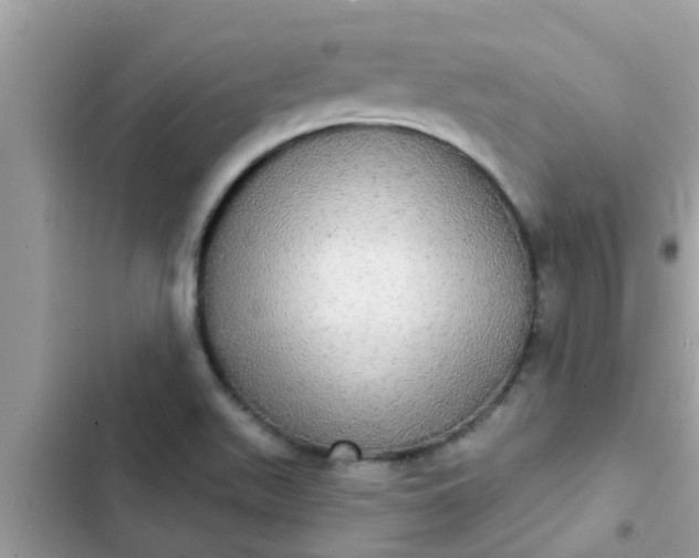 X0000102411511200808151954