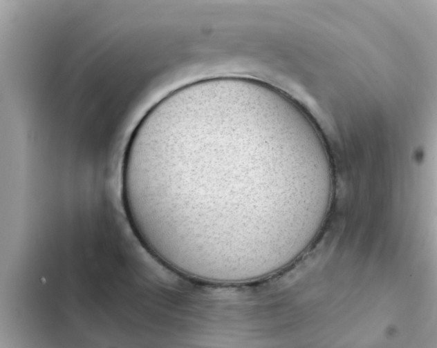 X0000102411512200808151954