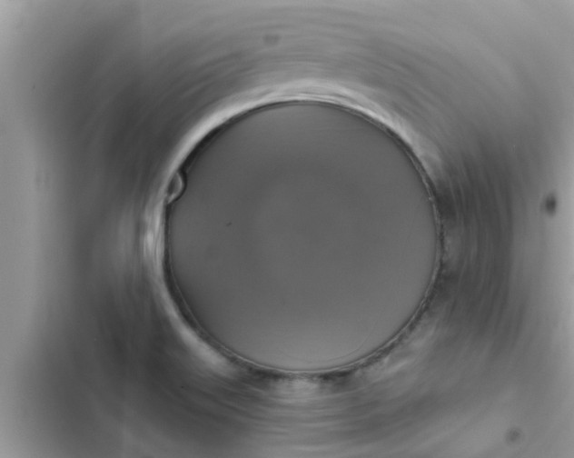 X0000102411515200808151954