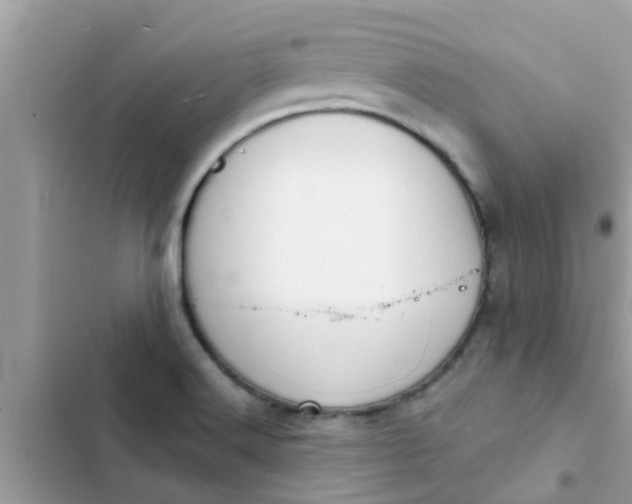 X0000102411516200808151954