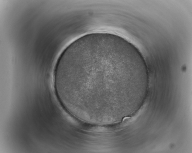 X0000102411517200808151954