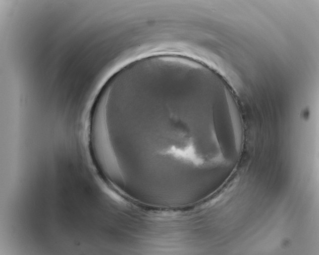 X0000102411519200808151954