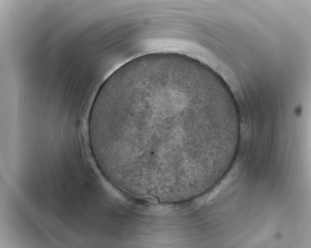 X0000102411521200808151954