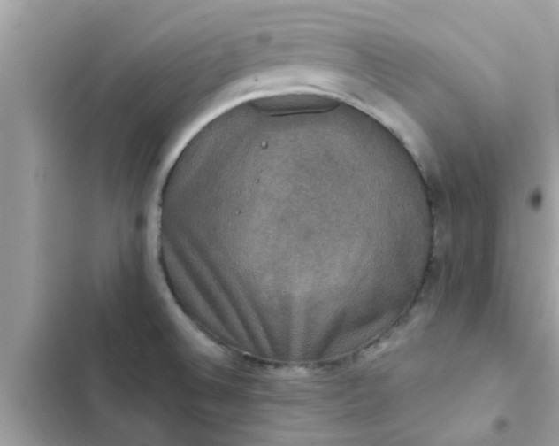 X0000102411524200808151954