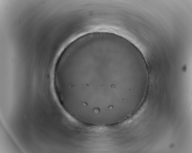 X0000102411525200808151954