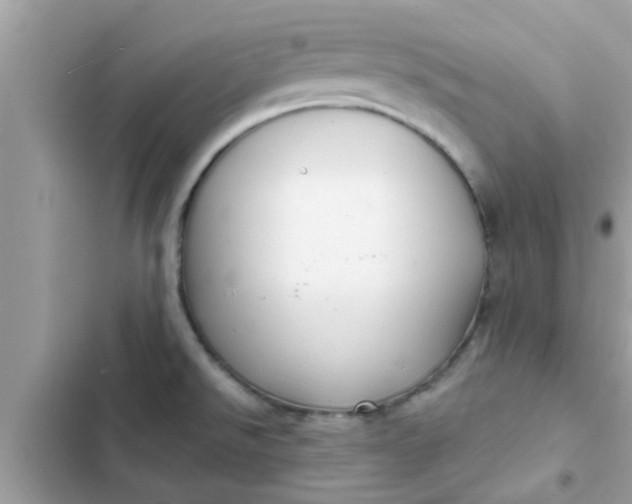 X0000102411526200808151954