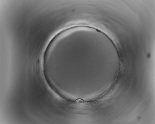 X0000102411527200808151954