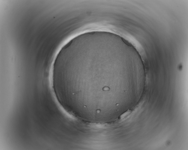 X0000102411528200808151954