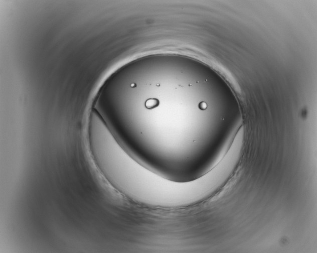 X0000102411530200808151954