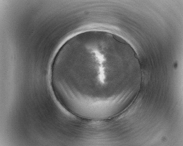 X0000102411531200808151954