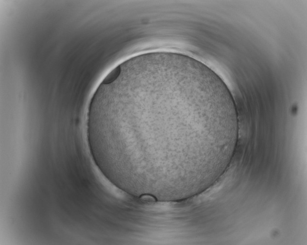 X0000102411532200808151954