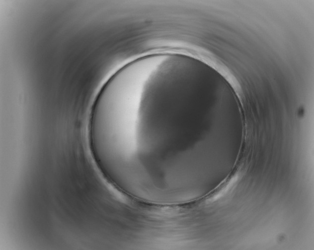 X0000102411533200808151954