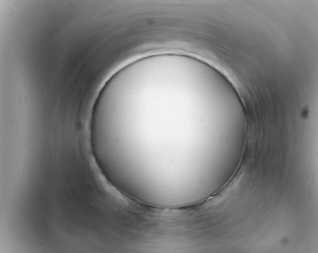 X0000102411534200808151954