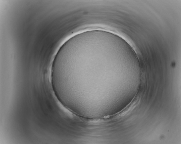 X0000102411535200808151954