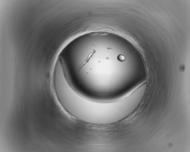 X0000102411536200808151954