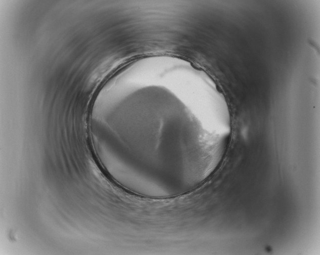 X0000102410002200808221922