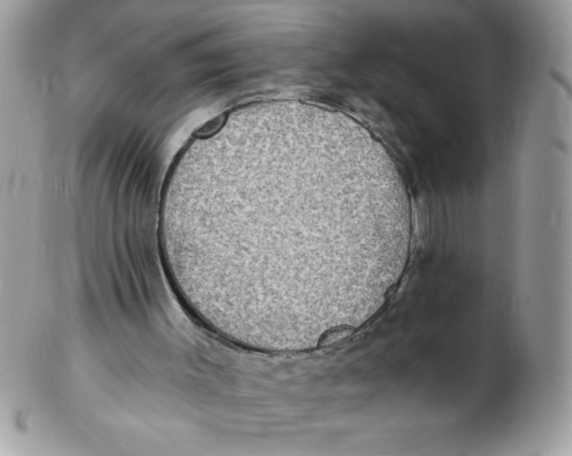 X0000102410003200808221922