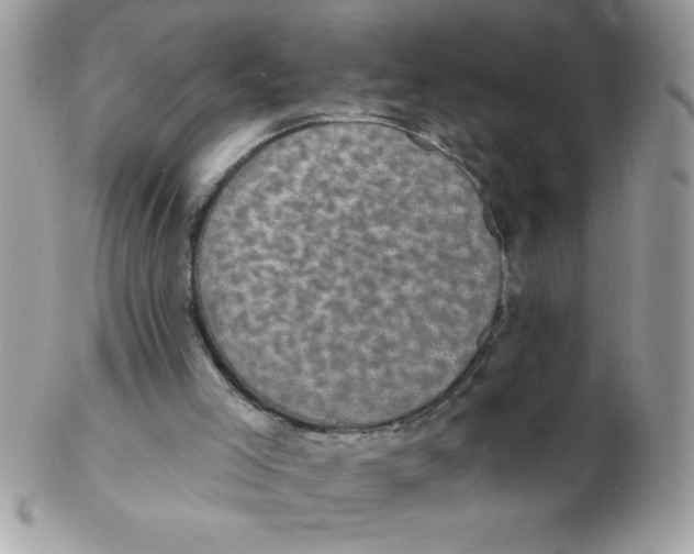 X0000102410005200808221922