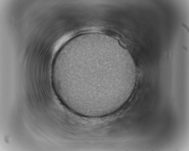 X0000102410006200808221922