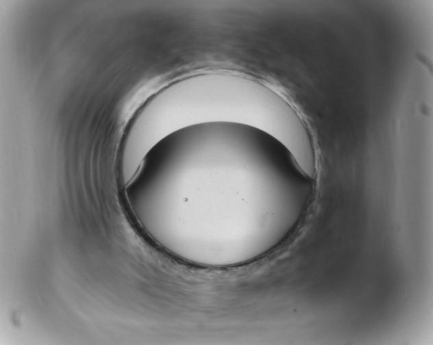 X0000102410007200808221922