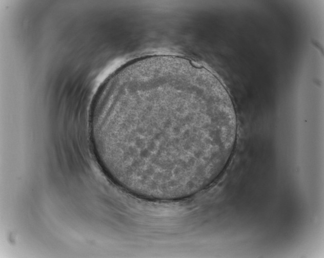 X0000102410008200808221922