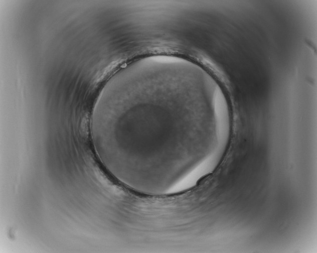 X0000102410009200808221922