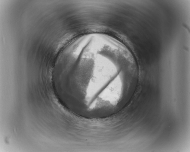 X0000102410010200808221922