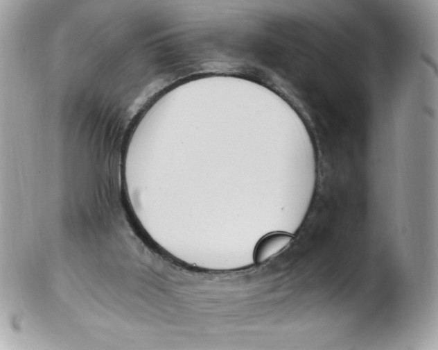 X0000102410011200808221922