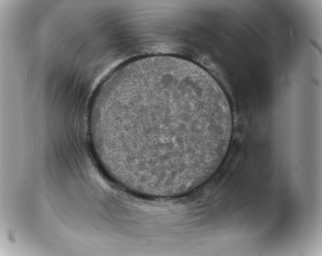 X0000102410012200808221922