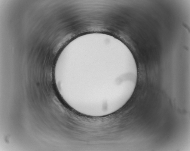 X0000102410015200808221921