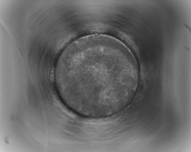 X0000102410017200808221921