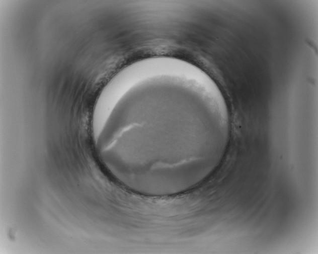 X0000102410018200808221921