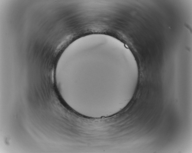 X0000102410019200808221921