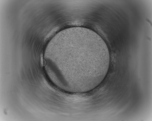 X0000102410020200808221921