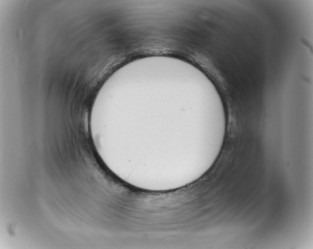 X0000102410021200808221921