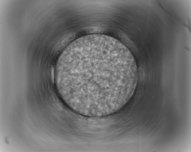 X0000102410022200808221921