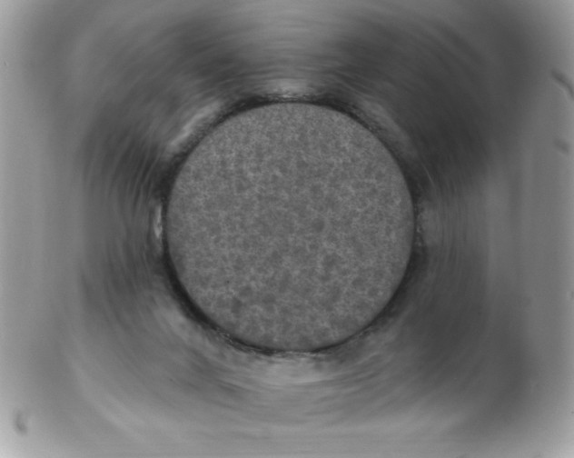 X0000102410024200808221921