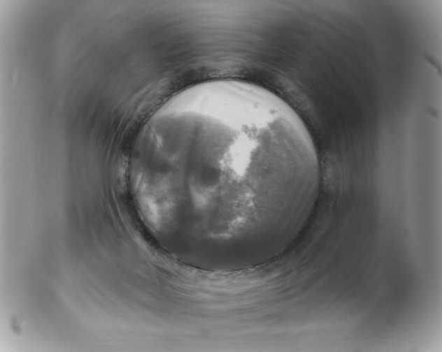 X0000102410026200808221921