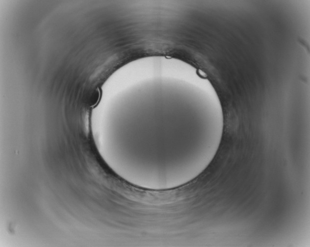 X0000102410027200808221921