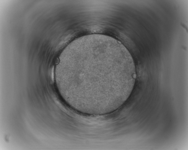 X0000102410028200808221921