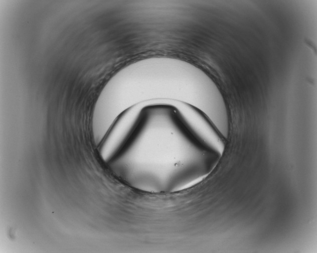 X0000102410029200808221921