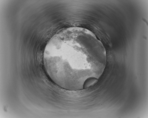 X0000102410030200808221921